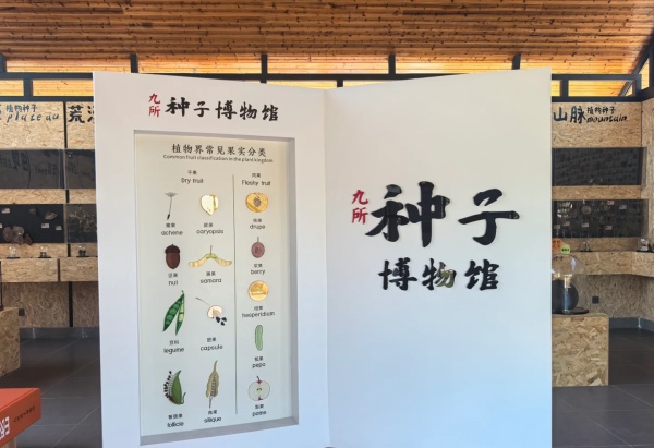 10个引人注目的博物馆设计