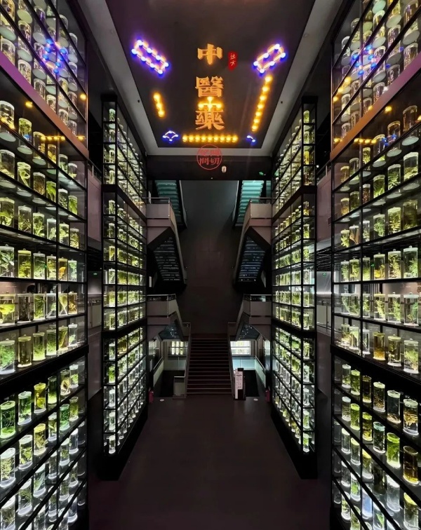 中医药博物馆布展场景化