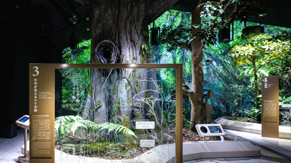 企业展厅——设计新趋势