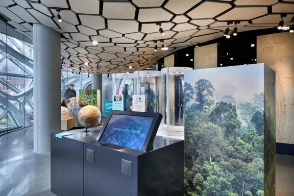 亚马逊总部Understory展厅设计