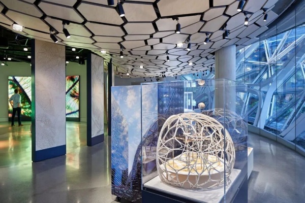 亚马逊总部Understory展厅设计