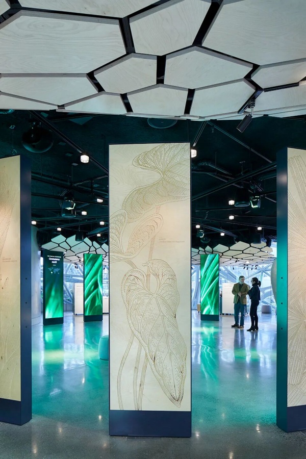 亚马逊总部Understory展厅设计