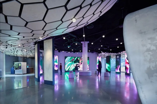 亚马逊总部Understory展厅设计