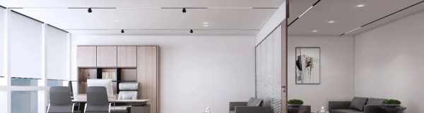 　　当数字浪潮撞上东方质感，1000㎡的空间里，我们把科技的锐和办公的柔揉成了一场沉浸式体验