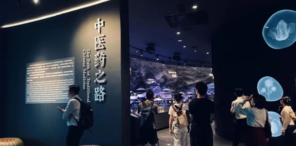 横琴中医药文化体验馆设计