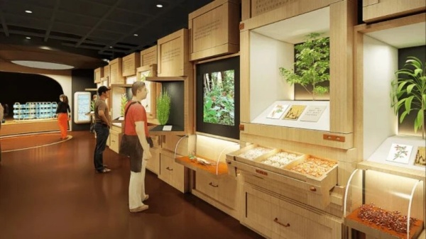 劲酒企业展厅设计