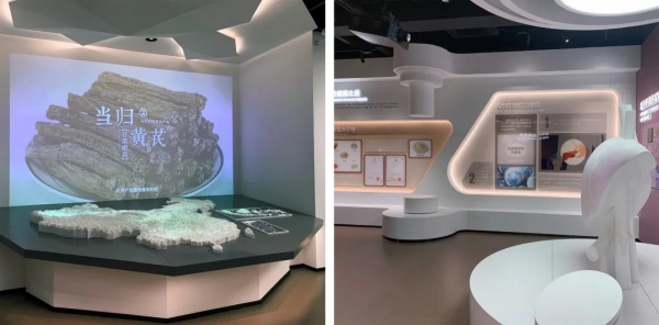 劲酒企业展厅设计