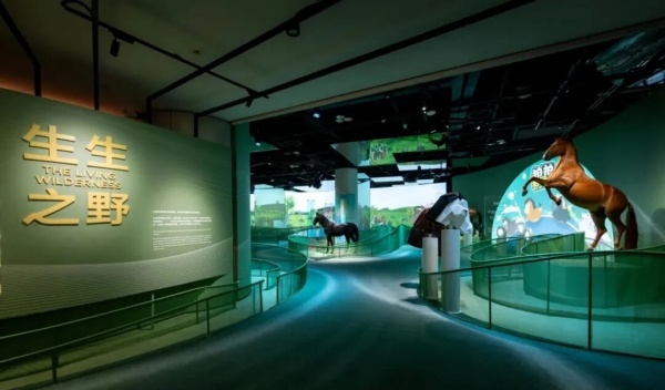 上海科技馆:马年科技文化展