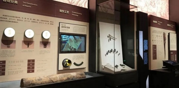 别再乱选展厅材料！预算有限也能装出高级感，新手必看！