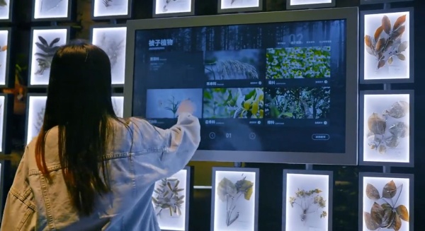 企业展厅从0到1：预算、周期、坑点，看完少亏几十万！