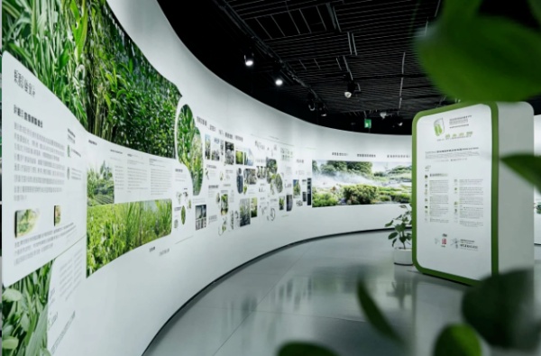 展厅设计想出圈？沉浸式体验设计直接抄作业