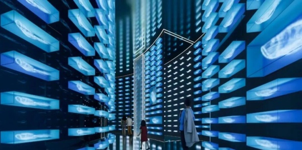 国家海洋博物馆:未来海洋展厅设计