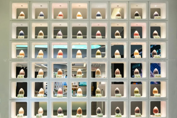 种业集团企业展厅设计